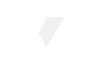 Viquity Logo